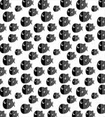 Black and White Fishes