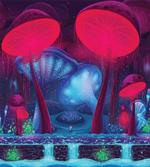 Mushrooms Vibrant Colors