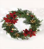 Poinsettia Blossoms