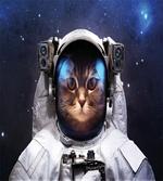 Kitty Suit in Cosmos