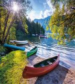 Bohinj Lake with Boats