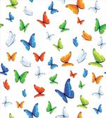 Butterflies Animal