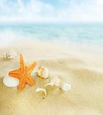 Tropic Seacoast