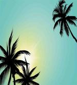 Hawaiian Miami Beach Sun