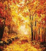 Autumn in Relax Forest