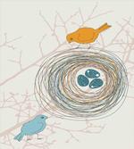 Blue Eggs in Birds Nest