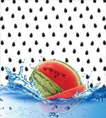Fruit Seeds on Water