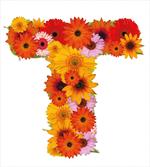 T Shaped Floral Design