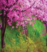 Spring Garden Landscape