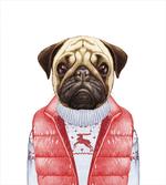 Red Vest Christmas Sweater