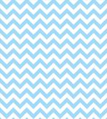 Classical Chevron Zig Zag