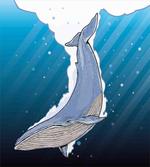 Ocean Whale Fish Swims