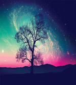 Aurora Borealis
