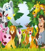 Safari Jungle Funny