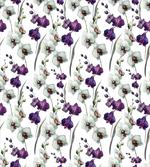 Wild Orchid Bloom