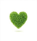 Heart with Fresh Leaves