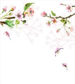 Apple Tree in Spring