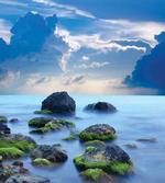 Mystical Seaside Stones