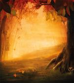 Mysterious Valley Forest