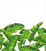 Vibrant Tropical Foliage