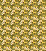 Floating Flowers of Asia