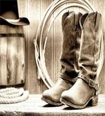 Wild Vintage Rodeo