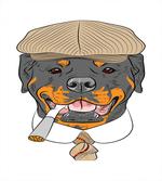 Dog in a Cap and Tie
