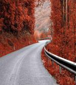 Dreamy Road Travel Theme