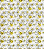 Blooming Narcissus