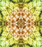 Faded Pleat Fearful Motifs