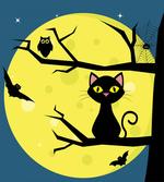 Cat and Owl on Branches