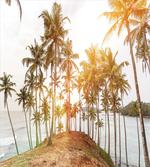 Sunbeams Hitting an Island