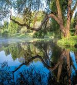 Foggy Scene over Water
