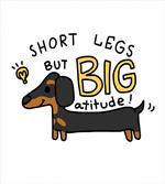 Short Legs Big Attitude