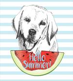 Hello Summer Words Sketch