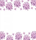 Lilac Flowers Blossoms
