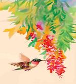 Colibri Exotic Tree