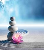 Meditation Harmony