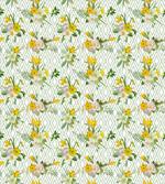 Blooming Floral Nature