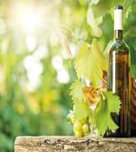 Young Vine Green Spring artwork
