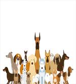 Funny Pet Breeds Cartoon