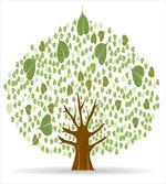 Fig Bodhi Leaves