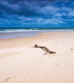 Deserted Sandy Beach