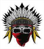 Skull with Feathers Veil