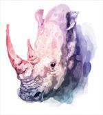 Safari Animal Rhino