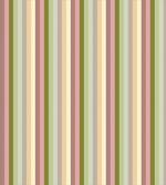 Pastel Colored Bands
