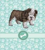 Detailed Pet Animal