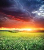 Sunset Modern View artwork