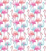 Hawaii Flamingos