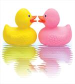 Duck Couple in Love